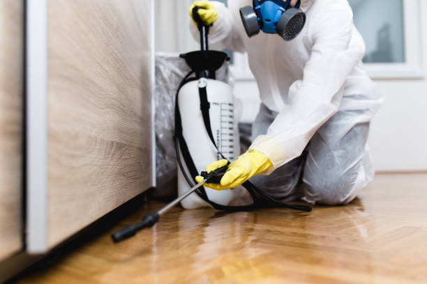 Best Termite Control Services  in Cnelius, OR