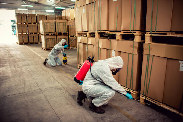 Best Pest Prevention Services  in Cnelius, OR