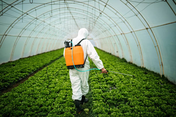 Best Best Pest Control Companies  in Cnelius, OR
