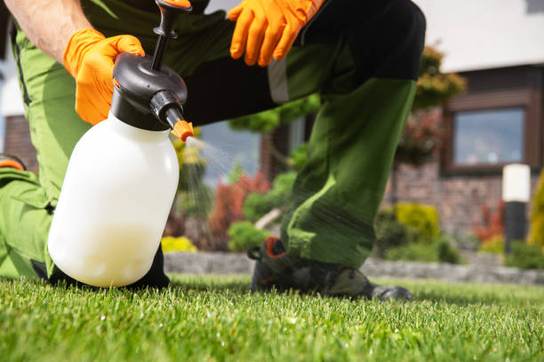 Best Local Pest Control Services  in Cnelius, OR