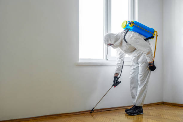 Best Best Pest Control Companies  in Cnelius, OR