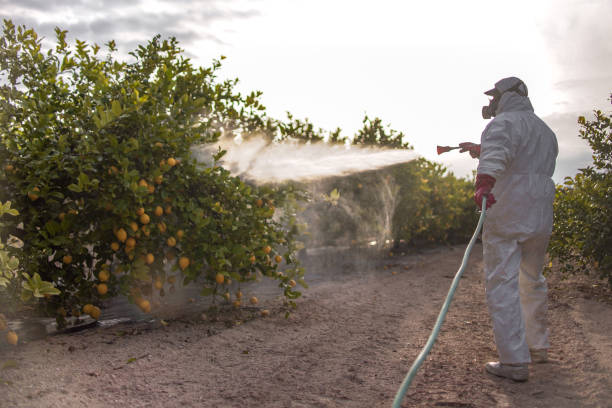 Best Pest Removal Services  in Cnelius, OR