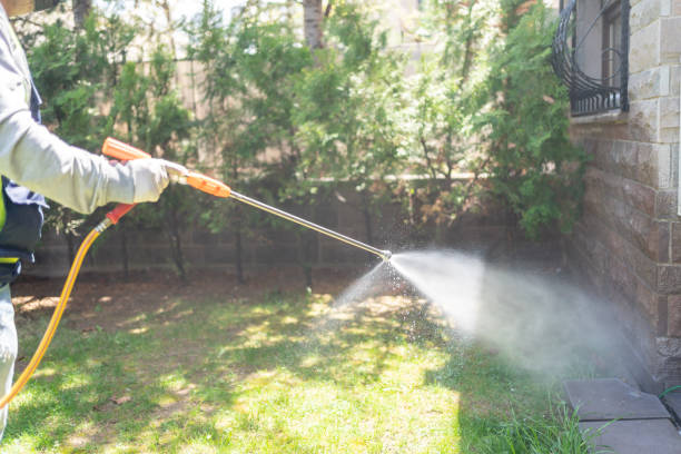 Professional Pest Control in Cornelius, OR