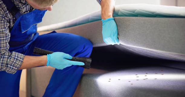 Best Affordable Pest Control Services  in Cnelius, OR