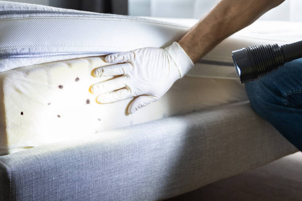 Best Pest Inspection Near Me  in Cnelius, OR