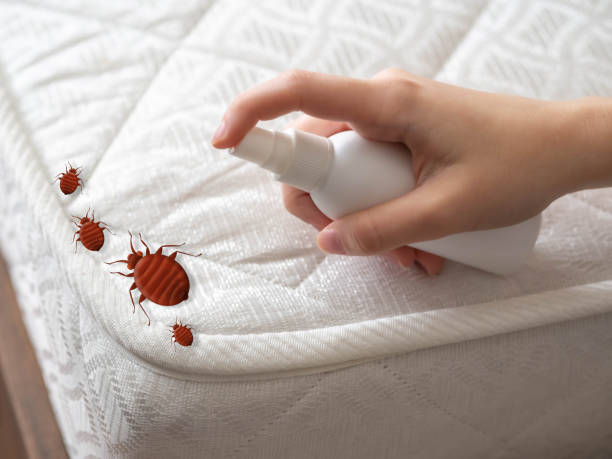 Best Pest Control Near Me  in Cnelius, OR