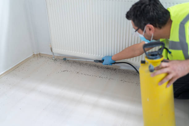 Best Affordable Pest Control Services  in Cnelius, OR